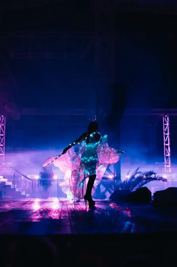 Mega Discoteca Tineretului — moment din galerie 215